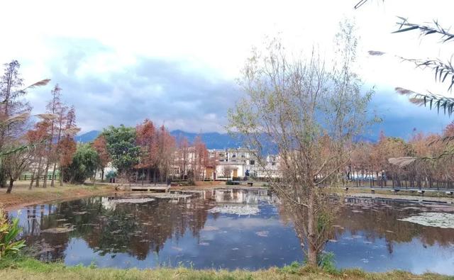 大理必去4个景点，去大理旅游攻略和费用是多少（这些景点一定不要错过）