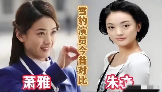 雪豹萧雅扮演者，雪豹萧雅扮演者是谁（12年后再看《雪豹》）