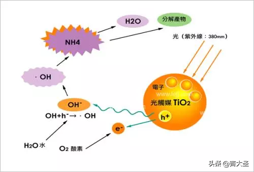 白醋可以去甲醛吗，白醋快速除甲醛的方法（这3个不靠谱的除醛方法可别再用了）