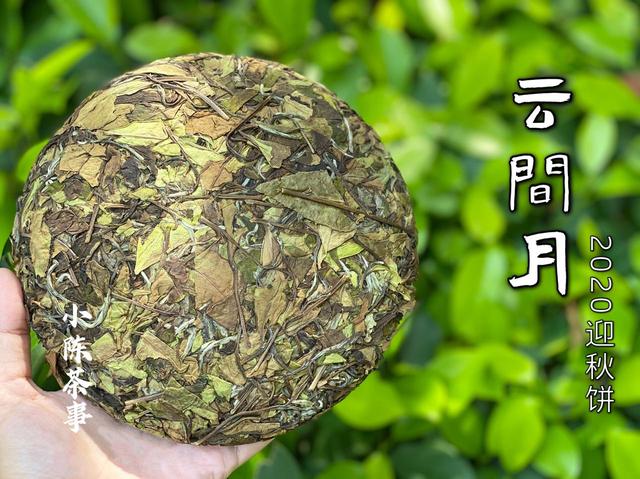 茶饼怎么防潮保存，经常撬来喝的白茶饼
