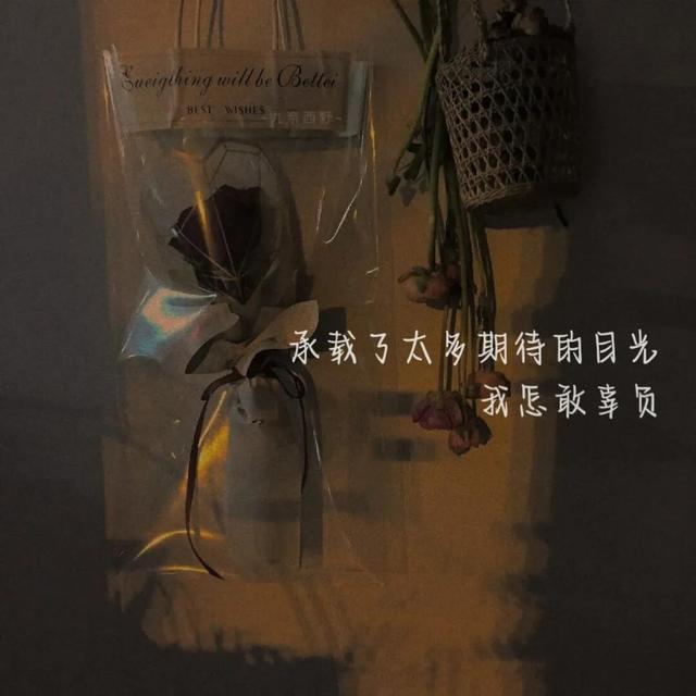 每日一句小情话简短，每日一句简单的情话（一天一句告白短情话）