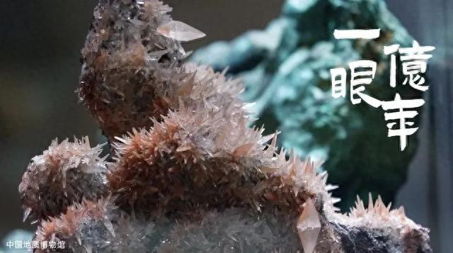走，去中国地质博物馆