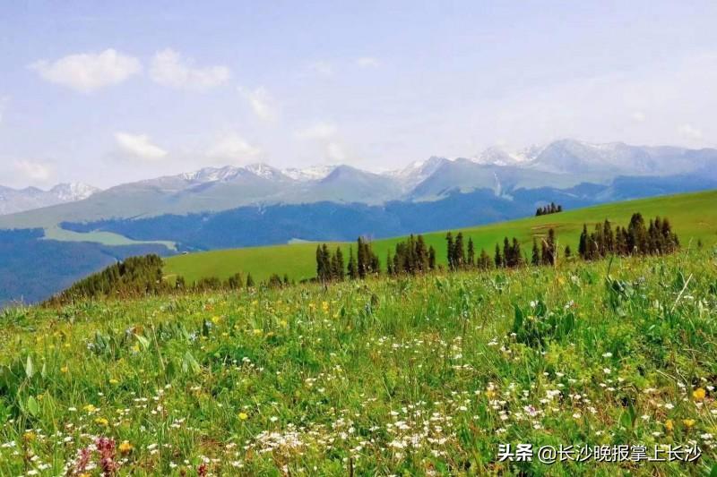 长沙到乌鲁木齐(长沙至桂林飞机票多少钱一张)