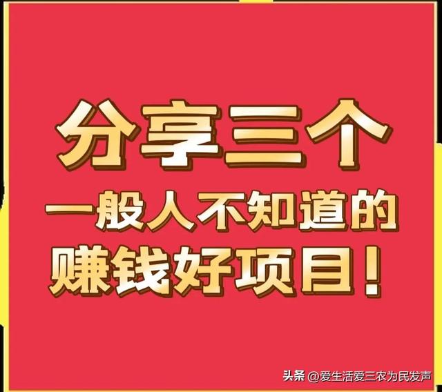 农村做什么致富，当今社会在农村做什么能致富（三个一般人不知道的赚钱项目）