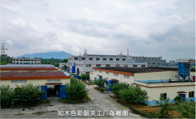 色精和色浆的区别，色精和色浆的区别是什么（知木色彩总经理段乐）