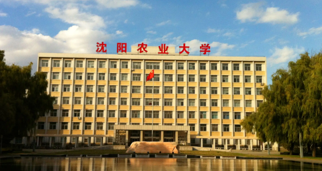 辽宁三本大学排名，2018-2019辽宁省三本大学排名（2022辽宁高校排名更新）