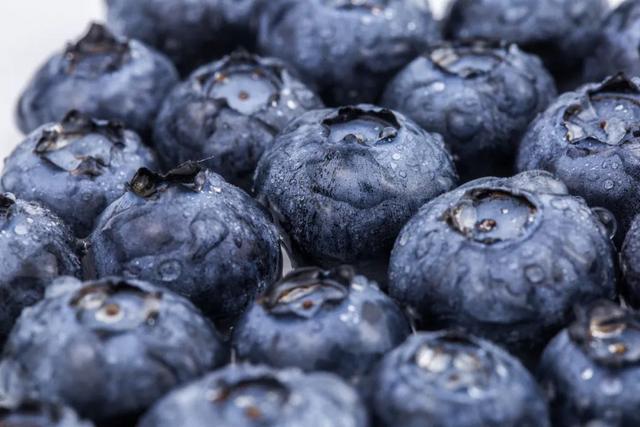 蓝莓几月份成熟，蓝莓什么时候结果（蓝莓丨春季的“高端水果”熟了）