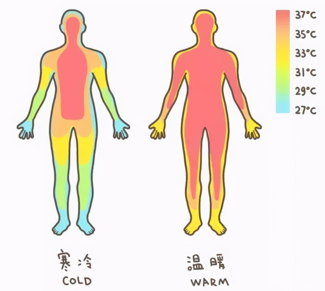 过草地是哪个地方，红军过草地从哪里出发终点叫什么地区（战士“三怕”）