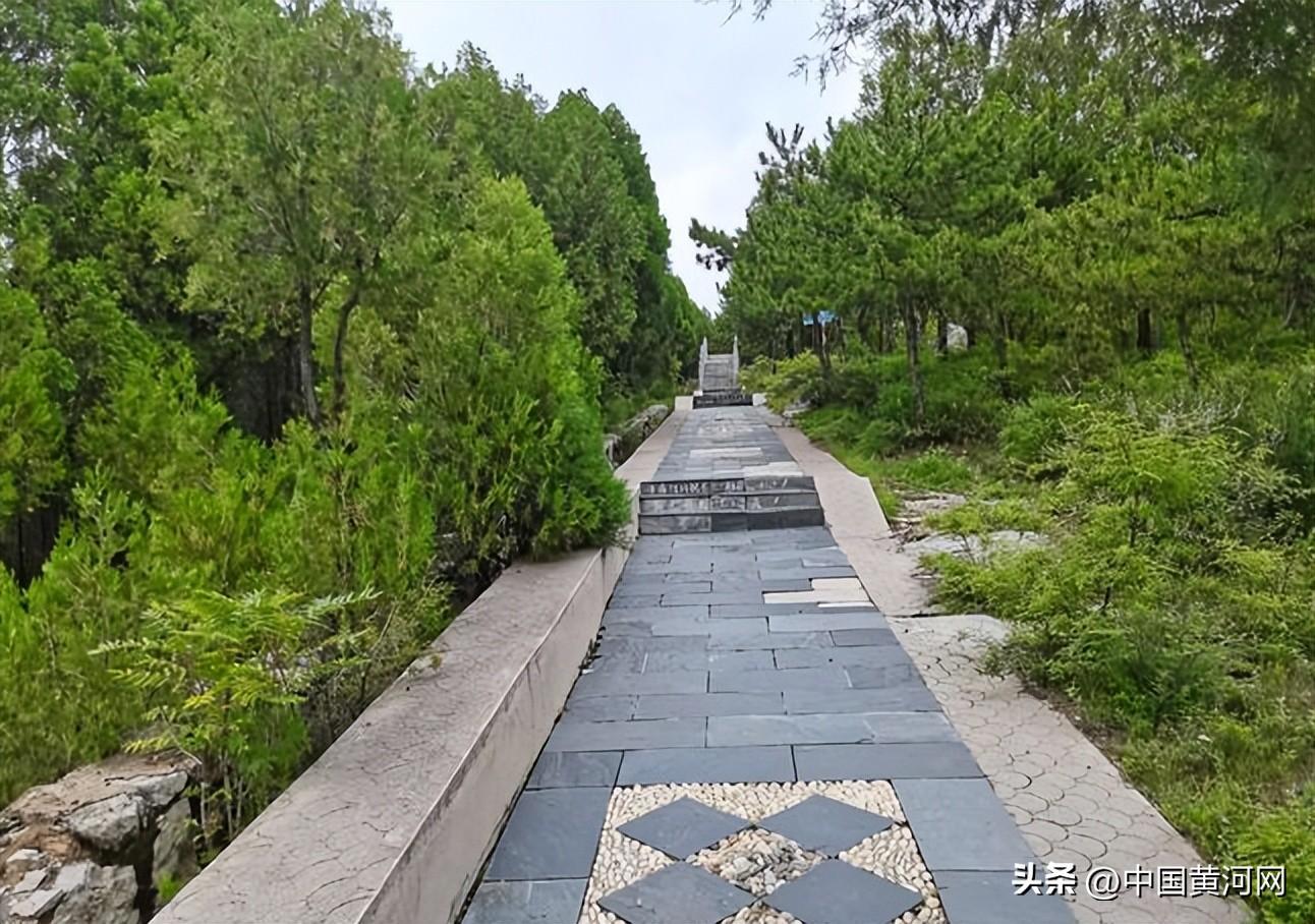 山西老顶山国家森林公园