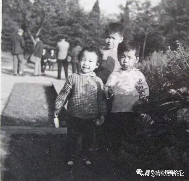 冰糕是什么，好吃的雪糕有哪些（一座城市的甜美记忆）