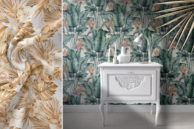 滴水观音价格，北欧插画丨梦幻般的热带雨林（滴水观音价格1.5米）