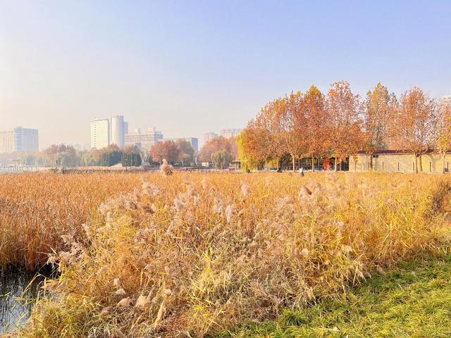 石家庄市水上公园，石家庄适合带孩子玩的地方（有种记忆，叫石家庄水上公园）