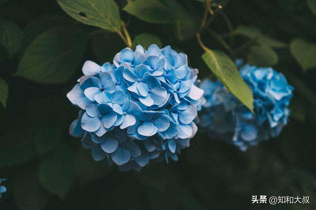 退出微信群别人知道吗(一个人突然退群说明什么)