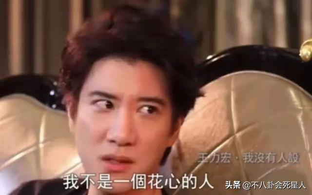 王力宏刘亦菲电影，王力宏与刘亦菲电影（王力宏5大恶臭黑历史）