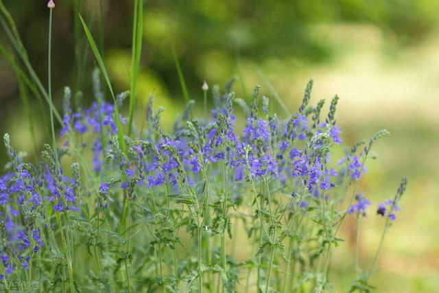 温暖思念牵挂祝福短信，温暖思念牵挂祝福短信怎么发（写给今生最想念的人）