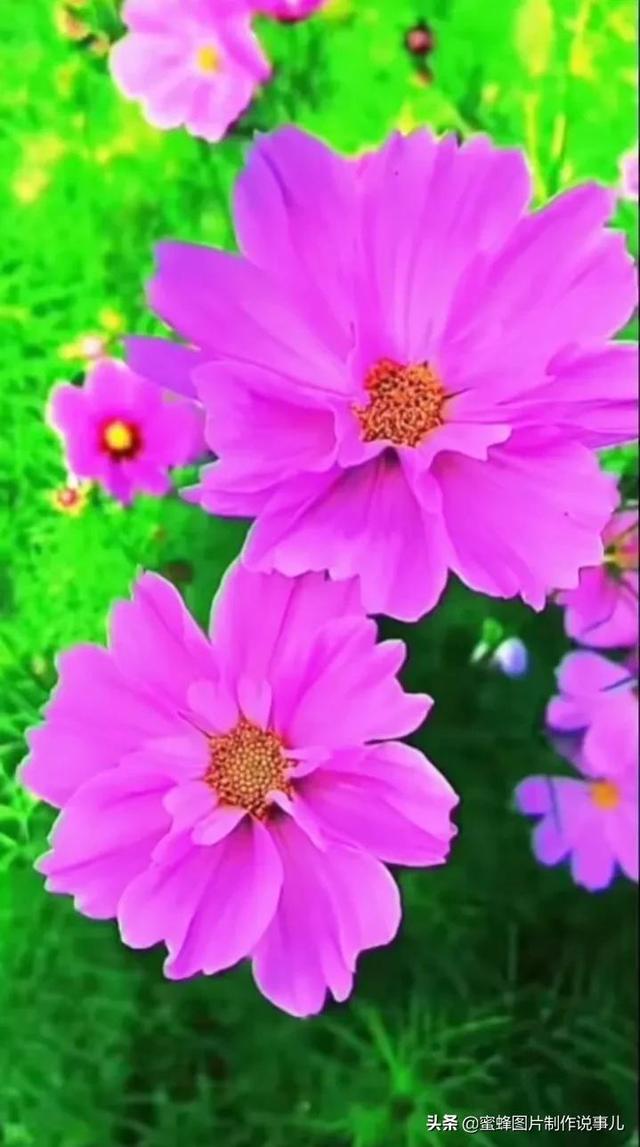 莺歌燕舞是什么季节，柳绿花红莺歌燕舞是什么季节（百花争艳的季节）