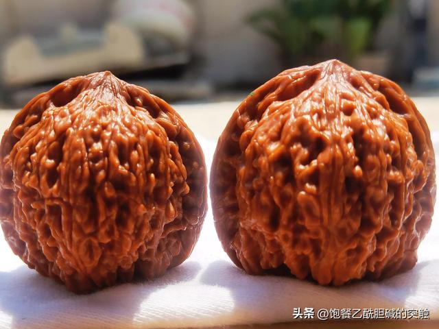 33种文玩狮子头核桃大全，绣球狮子头——文玩核桃浅谈
