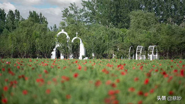 郑州有什么好玩的地方，古城郑州有什么好玩的地方啊（你知道郑州有哪些令人流连忘返的八大景区嘛）