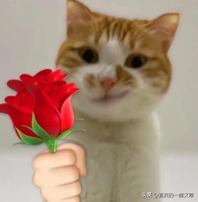 只要七步就能让男生全方位地变帅，改造自己！帅哥快看过来