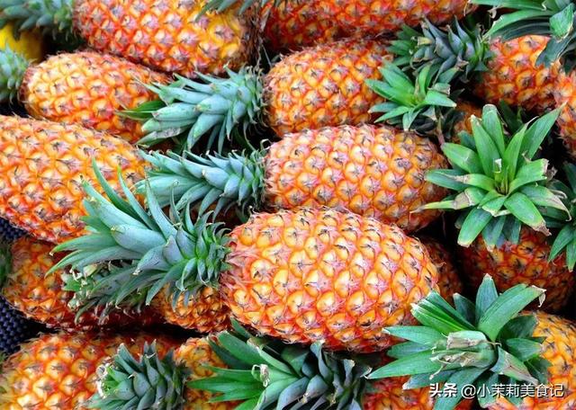 菠萝原产地是哪里，菠萝的出产地是哪里（全国哪的菠萝最好吃）