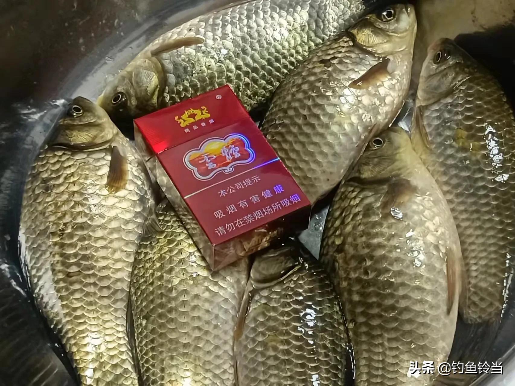 冬季野钓大板鲫最佳线组搭配：几号线配几号钩最上鱼？实战经验推荐
