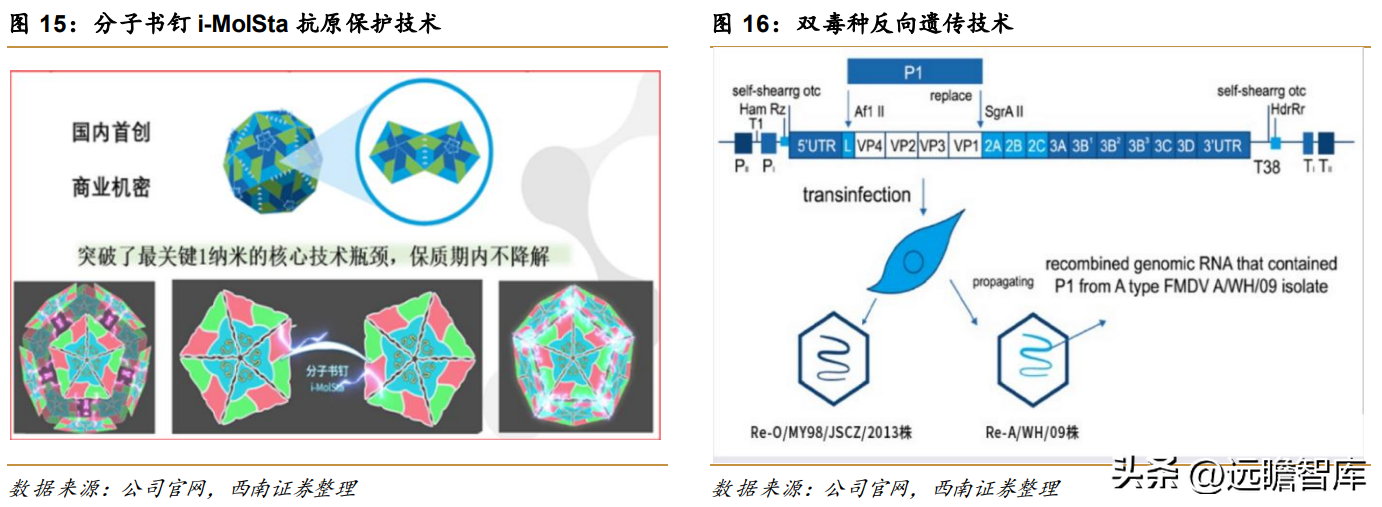 上海多肽合成（高科技动保企业）