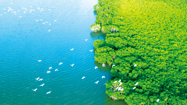 海口旅游景点，海口旅游景点地图全图（海口经典线路推荐）