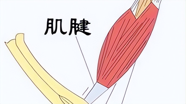 什么叫打封闭，对人体有害吗（关节疼痛、韧带损伤适合打封闭针吗）