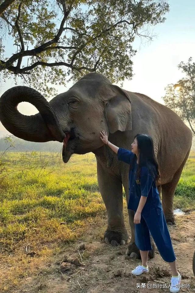 安纳塔拉度假会，阿布扎比安纳塔拉度假村（泰北，丛林野奢OR城市度假）