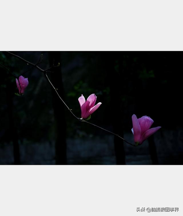 高光质感背景图，高清高级感背景图（若有这6个错误的深色背景照片）