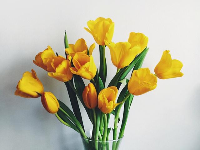 最懂摩羯座的星座，最了解摩羯座的星座（但他们需要克服哪些障碍）