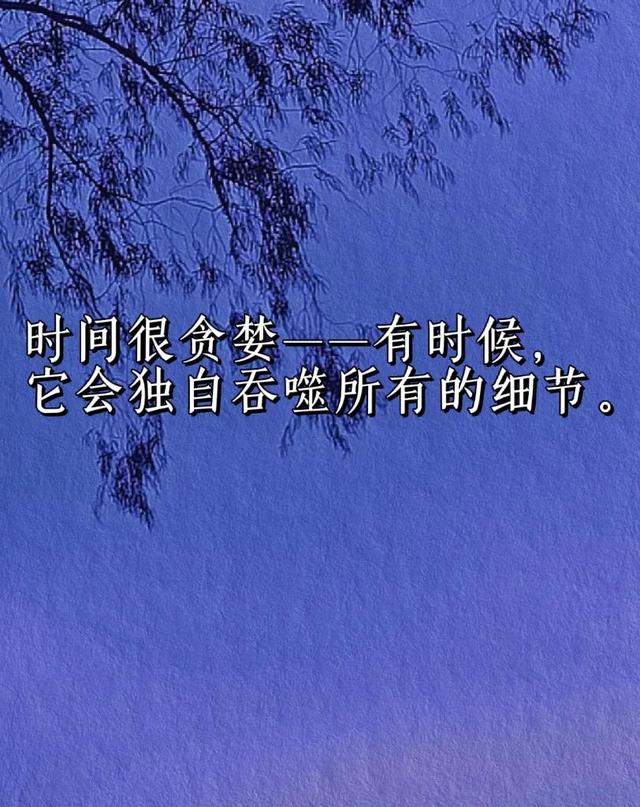 追风筝的人经典语录，《追风筝的人》经典语录有哪些（《追风筝的人》经典语录）