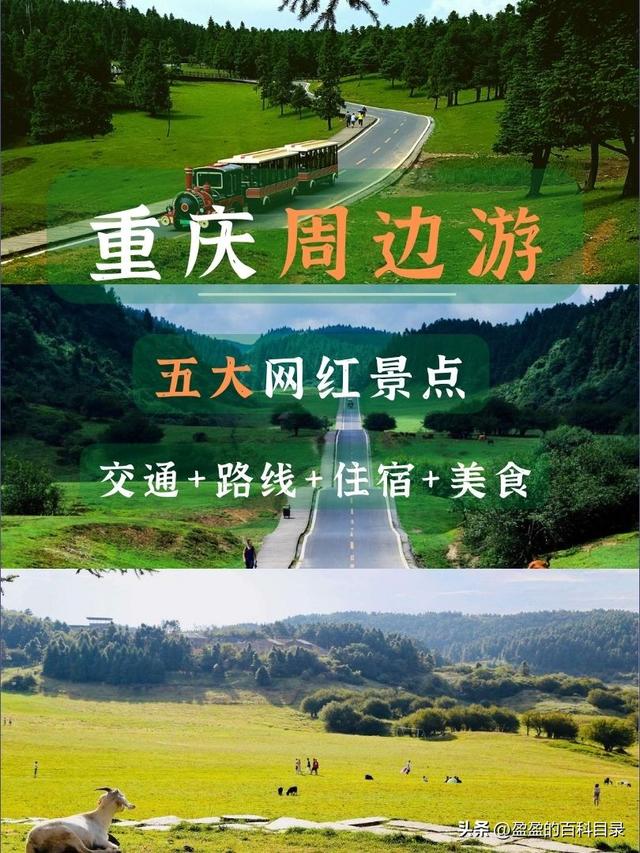 重庆周边旅游景点大全，重庆周边旅游景点介绍（5大网红景点）