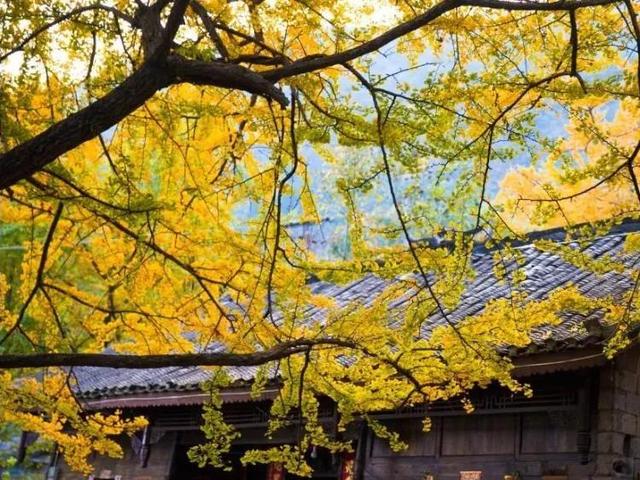 瑞金市旅游景点，江西瑞金市旅游景点排名（江西赣州值得推荐的18个旅游景点）