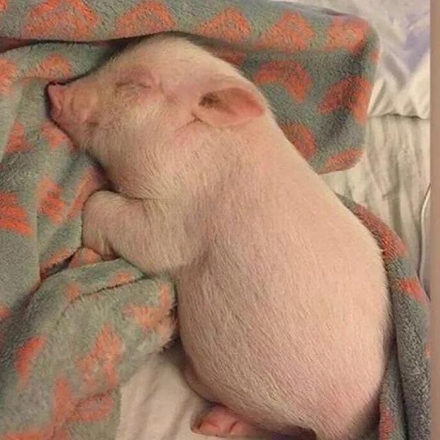 2021最火毕业文案短句，毕业季文案（毕业文案馆）