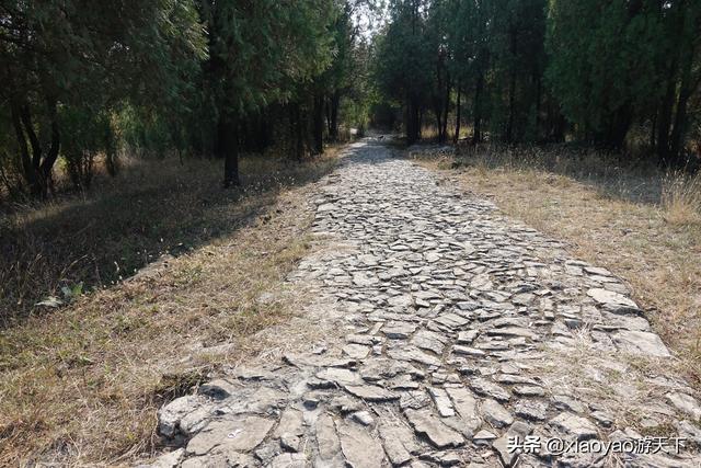 八公山的由来，八公山的由来是什么（淮南王刘安发明豆腐和淝水之战交战的地方）