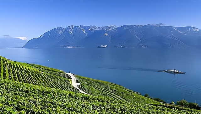 长江全长多少千米，长江全长多少千米是世界第几长河（江与河的区别中华儿女都应该知道）