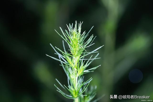 处事圆滑的技巧，教你处事圆滑的四大技巧