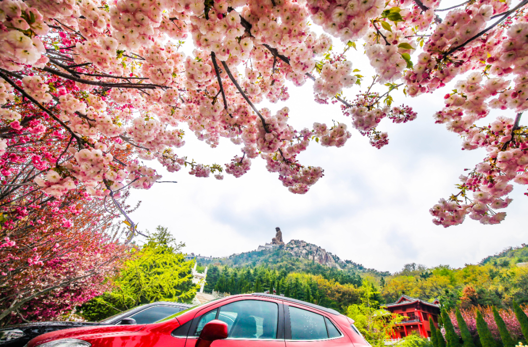 荣成风景区有哪些，荣成周边景点（来荣成这些打卡景区景点采撷好春光）