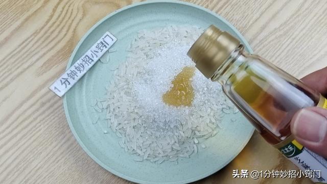 家里进老鼠了应该怎么办，家里进老鼠了怎么办（家里出现老鼠不要慌）