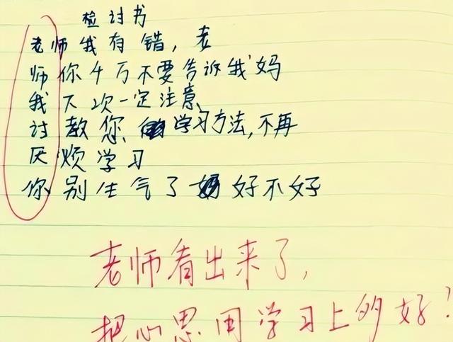 检讨书的正确格式图片，检讨书怎么写（小学生藏头诗式检讨书）