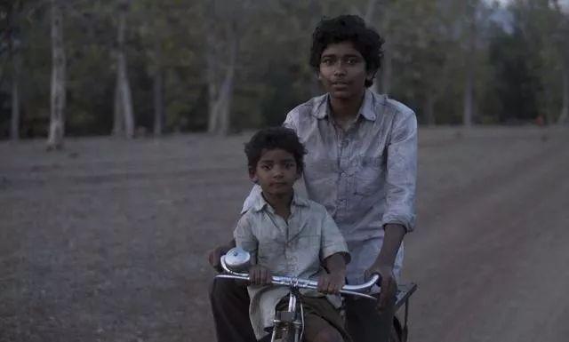 适合三岁宝宝看的动画片，3周岁宝宝适合看哪些动画片（3-14岁孩子看的优质电影及动画）