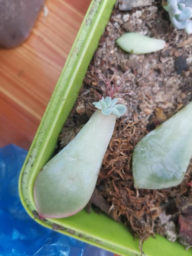 有哪些好听的网名，好看又好听的网名400个（都是些什么名字呢）