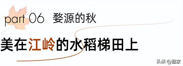 游玩攻略江西婺源景区，徽州秋天里的人间烟火