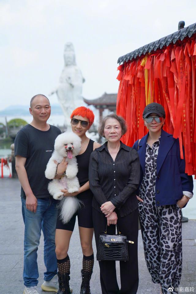 刘嘉玲身价多少亿，刘嘉玲个人简历（同进同出情胜母子）