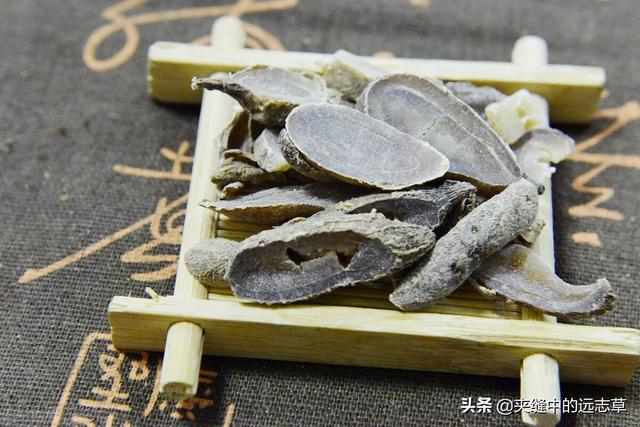 纹股蓝的功效与作用，讲一味小小的绞股蓝