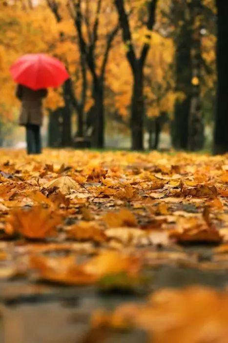 关于安静的心情的散文，散文《安静》（余生做一个温柔而安静的人）