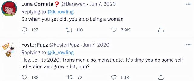 哈利波特的结局是什么，哈利波特结局了（哈利·波特杀死《哈利·波特》）