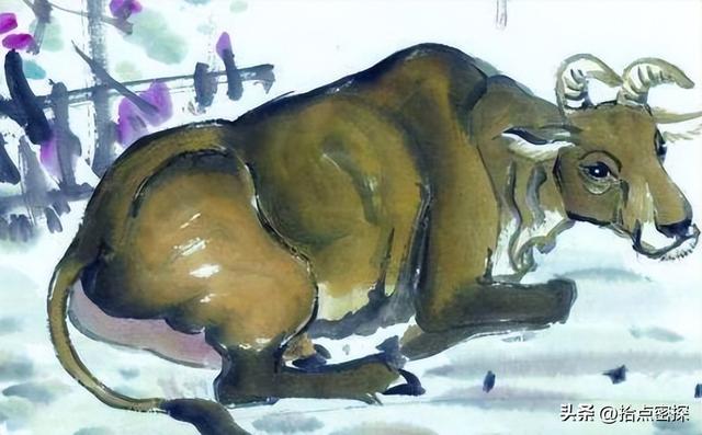 动物分为哪六大类，1000个动物名字（排列到底是按照什么顺序排列的）