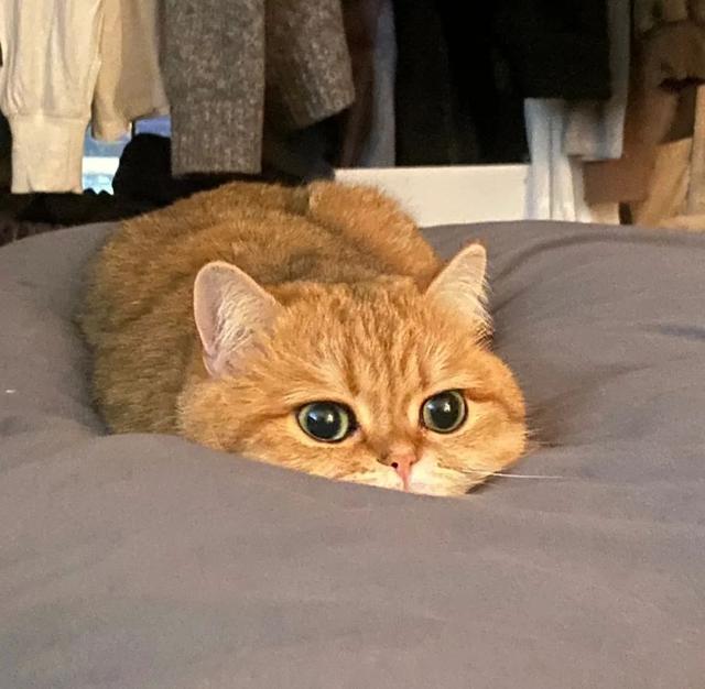 也许放弃才能靠近你，也许放弃 才能靠近你，微信头像（人生才几年不能因为找不到对象而放弃自己）